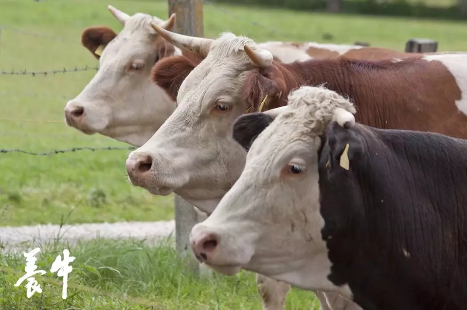 1562201091583553.jpg 640.webp (1).jpg