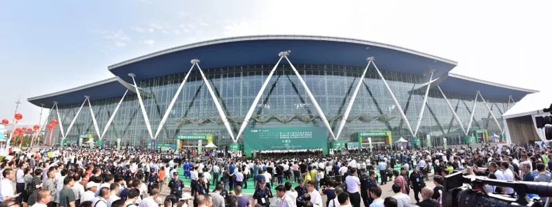 1562203525632997.jpg 640.webp (3).jpg