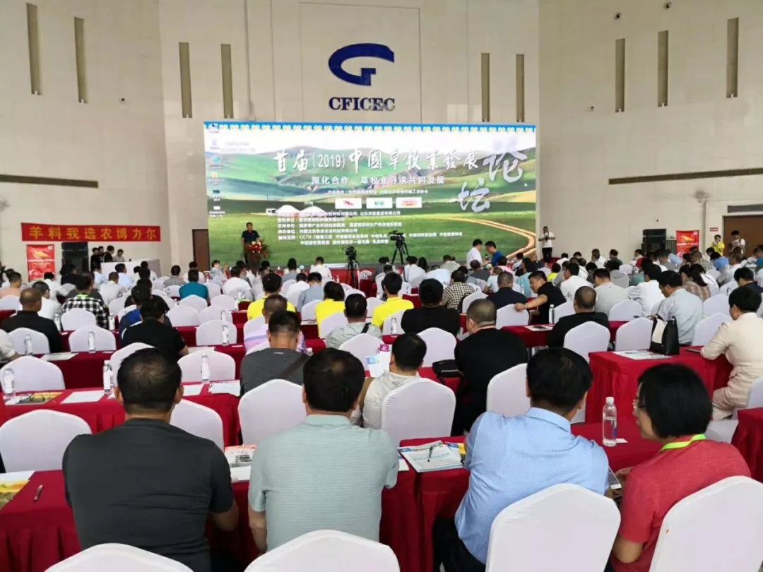 1562548563136853.jpg 640.webp (17).jpg