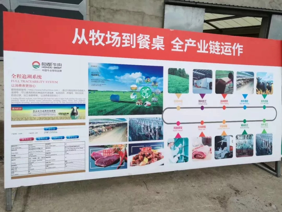 1562548663979704.jpg 640.webp (25).jpg