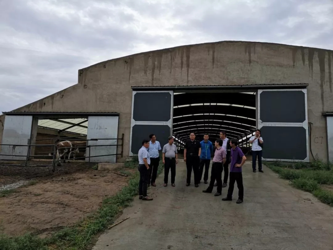 1562548711194245.jpg 640.webp (28).jpg