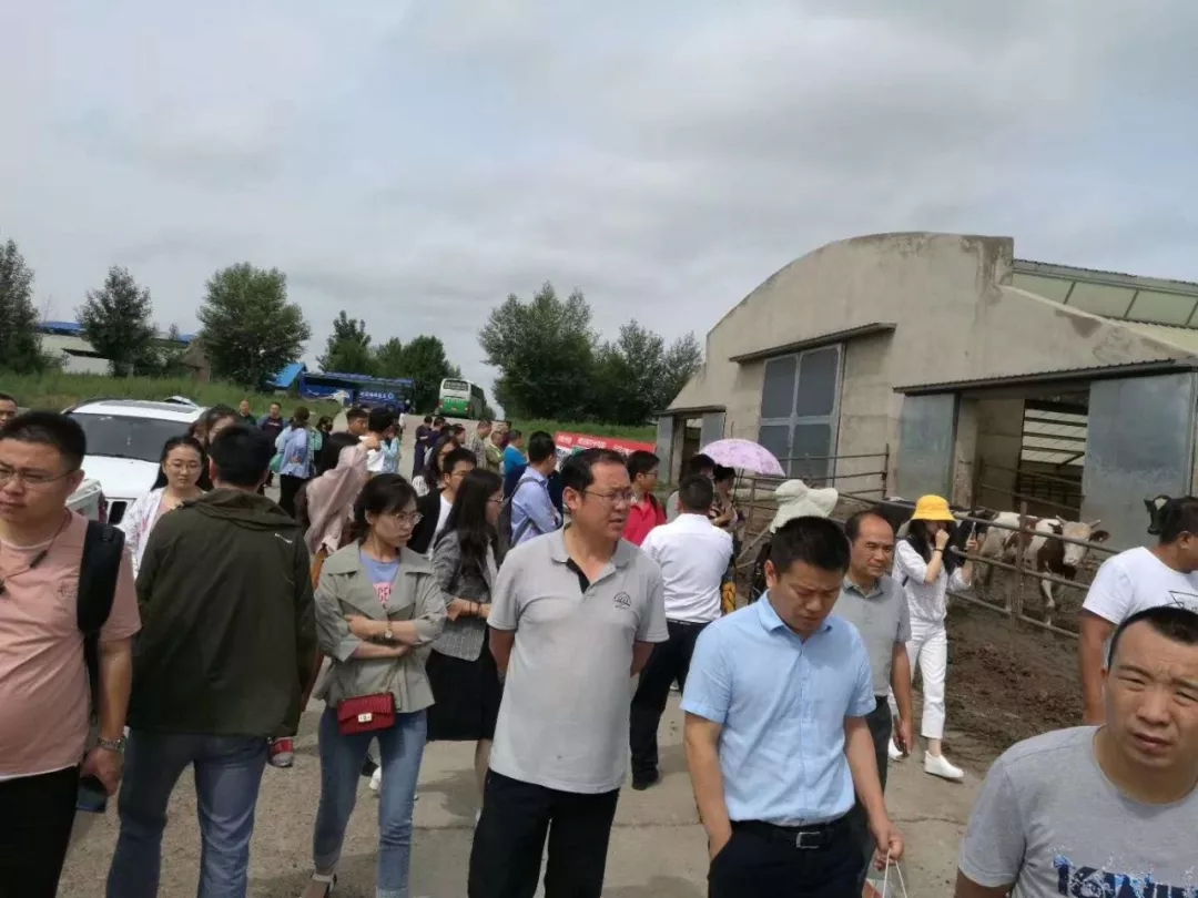 1562548724917050.jpg 640.webp (29).jpg