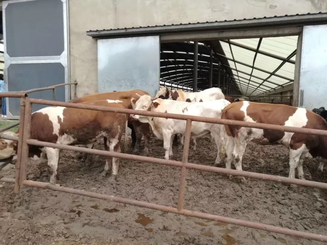 1562548754102419.jpg 640.webp (31).jpg