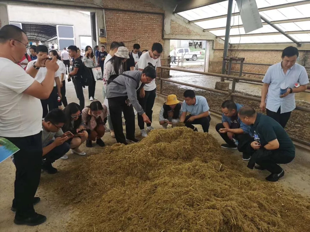 1562548792550677.jpg 640.webp (34).jpg