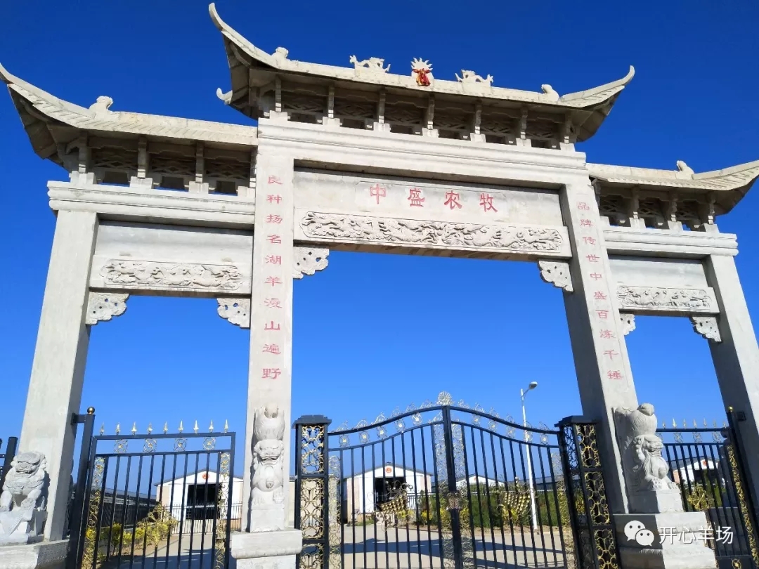 1563584335384531.jpg 640.webp (3).jpg