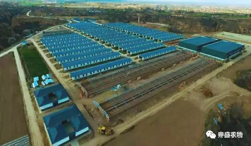 1563584348636655.jpg 640.webp (6).jpg