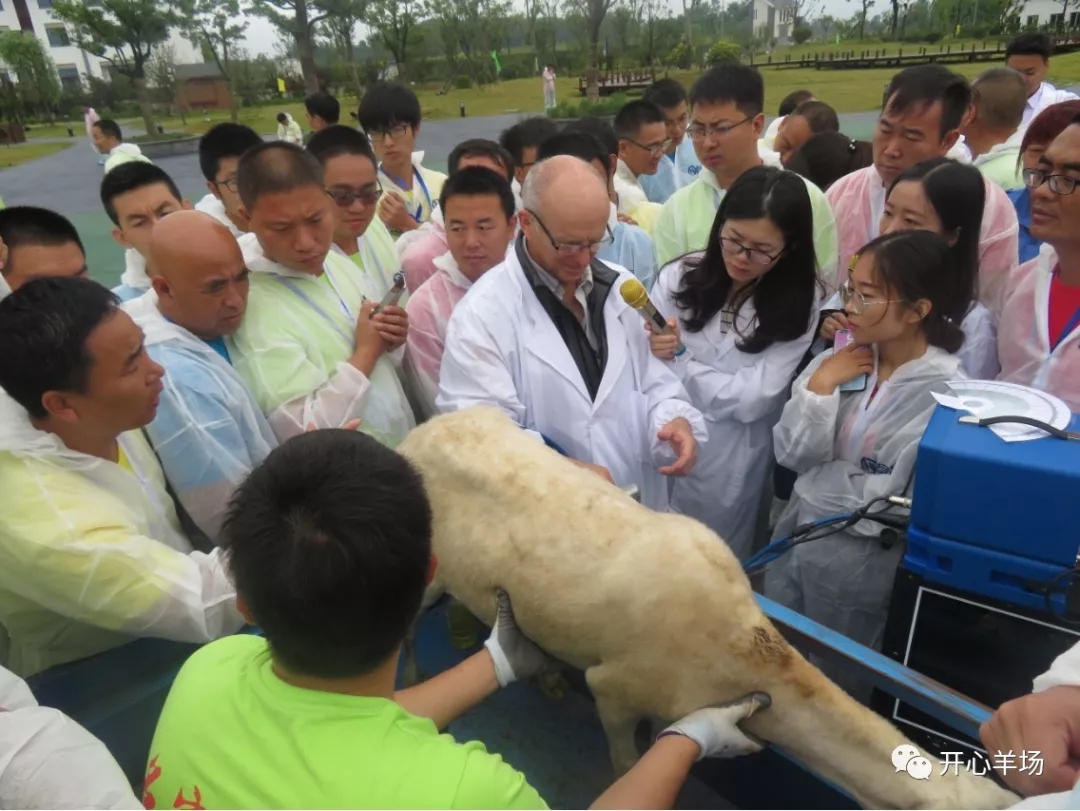 1563584398760801.jpg 640.webp (8).jpg