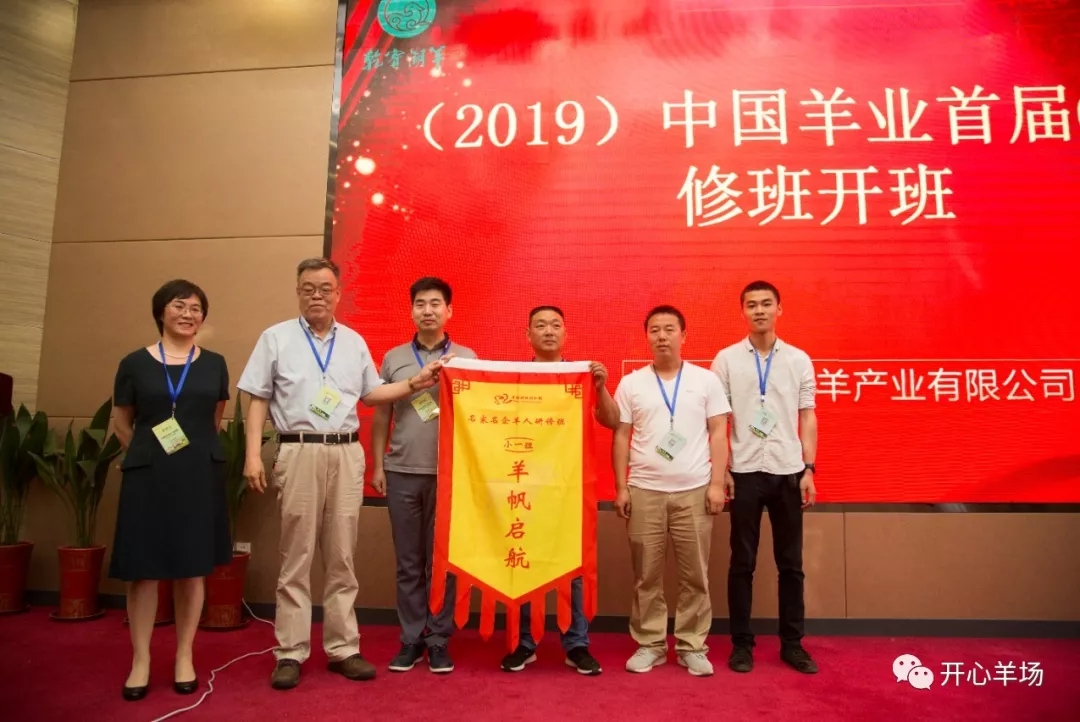 1563584434831417.jpg 640.webp (9).jpg