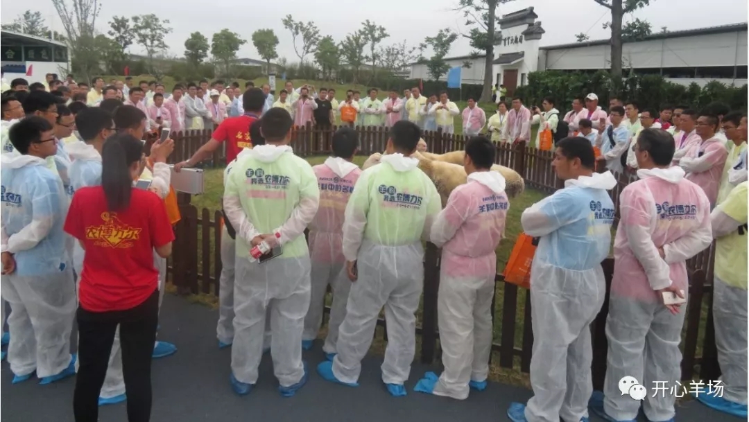 1563584476240289.jpg 640.webp (13).jpg