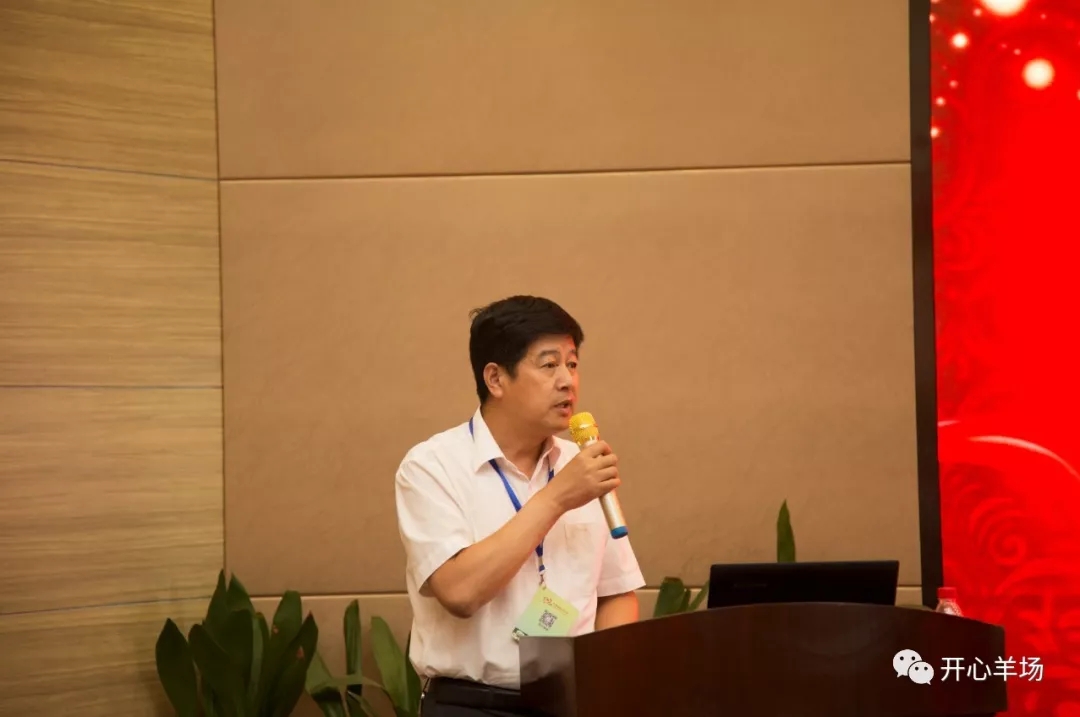 1563584601719921.jpg 640.webp (16).jpg