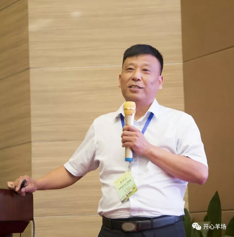 1563584924982114.jpg 640.webp (30).jpg