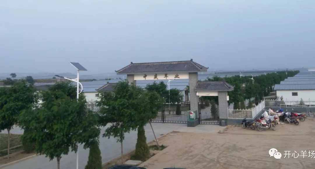 1563584970869241.jpg 640.webp (32).jpg