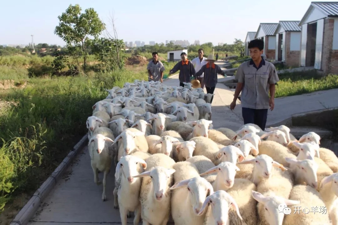 1563584974378636.jpg 640.webp (33).jpg