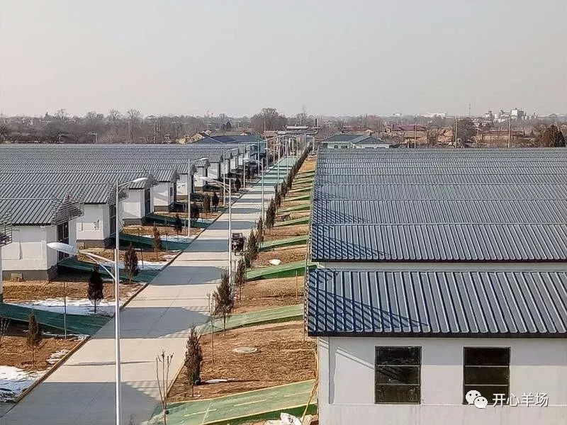 1563584990842605.jpg 640.webp (34).jpg