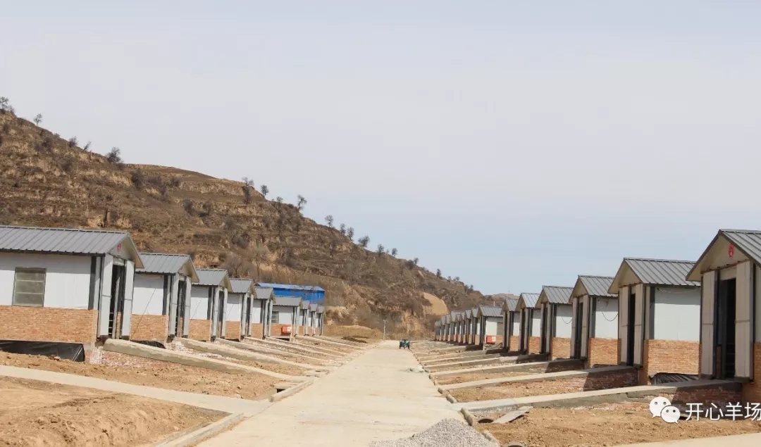 1563585008710540.jpg 640.webp (35).jpg