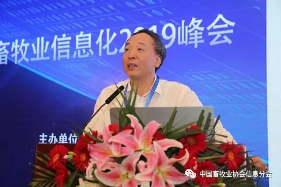 1564452000636353.jpg 640.webp (20).jpg