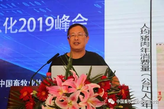 1564452050940115.jpg 640.webp (21).jpg