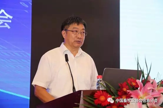 1564452074203110.jpg 640.webp (22).jpg