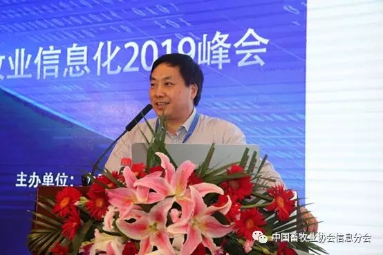 1564452100136238.jpg 640.webp (23).jpg