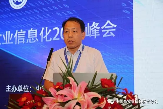 1564452353682484.jpg 640.webp (34).jpg