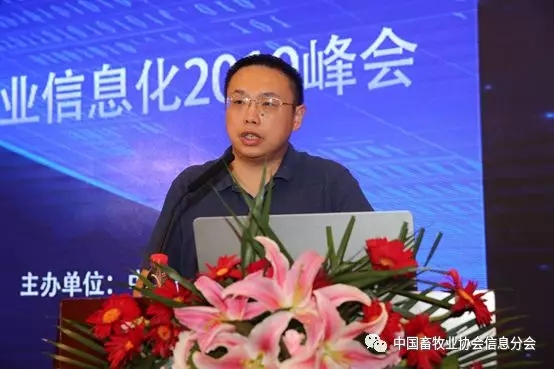 1564452429116878.jpg 640.webp (37).jpg