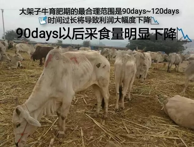 1566377894281858.jpg 640.webp (3).jpg