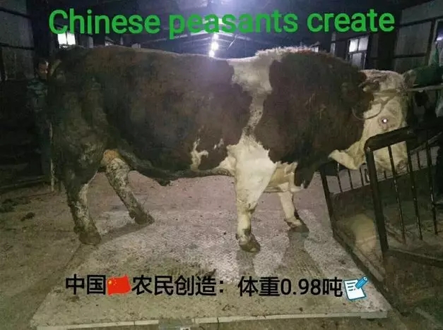 1566377929137873.jpg 640.webp (5).jpg