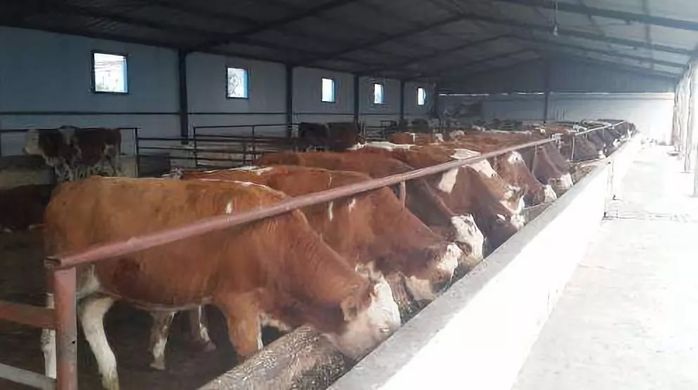 1566378025338574.jpg 640.webp (10).jpg