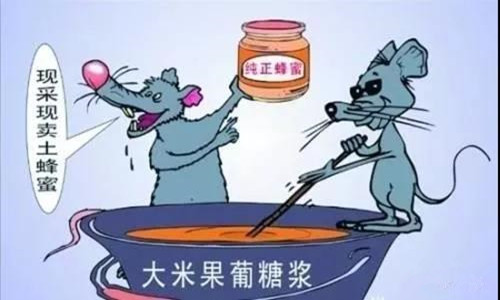 04.jpg