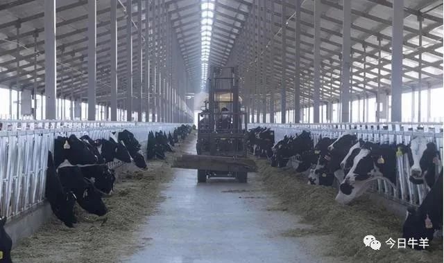 1621558327358368.jpg 1621558327358368.jpg