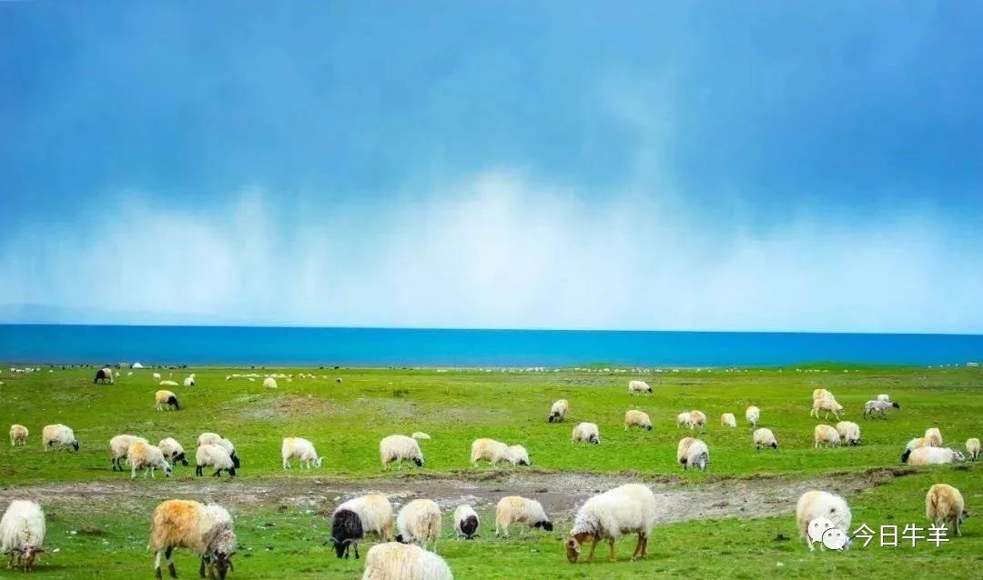 1621558417573312.jpg 1621558417573312.jpg