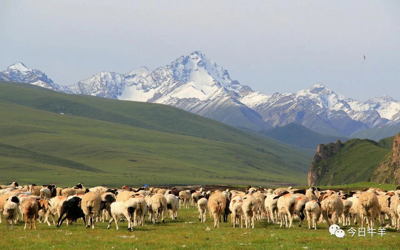 1621558368810589.jpg 1621558368810589.jpg