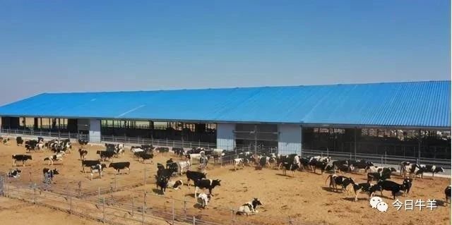 1621558293137146.jpg 1621558293137146.jpg