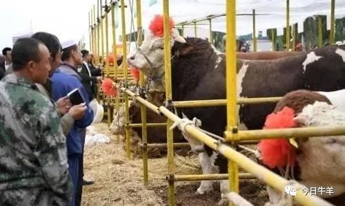 1621558528411297.jpg 1621558528411297.jpg