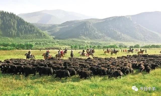 1621558454239600.jpg 1621558454239600.jpg