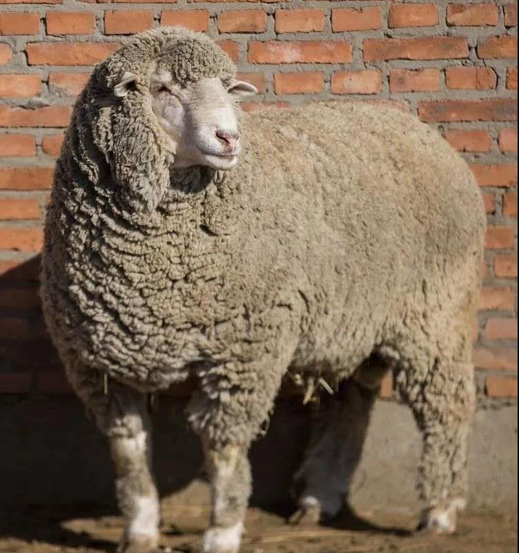 1621482294195149.jpg 微信图片_20210520113512.jpg