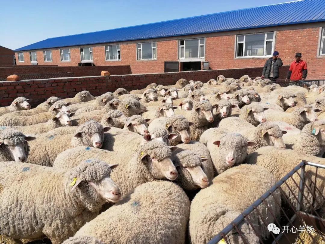 1621482441957069.jpg 微信图片_20210520113530.jpg