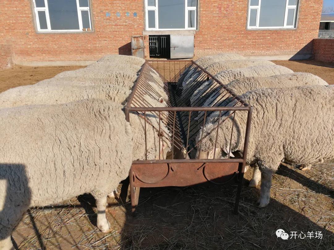 1621482477819411.jpg 微信图片_20210520113537.jpg