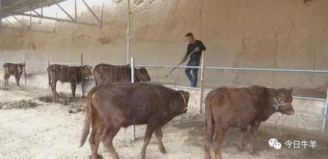 1621558918401873.jpg 1621558918401873.jpg