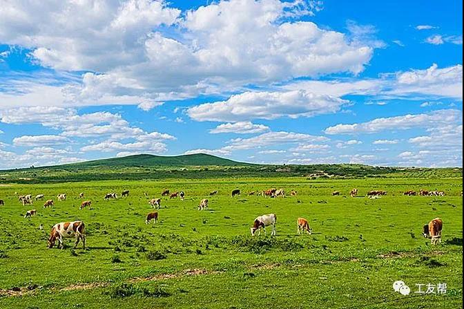 1621823234417924.jpg 1621823234417924.jpg