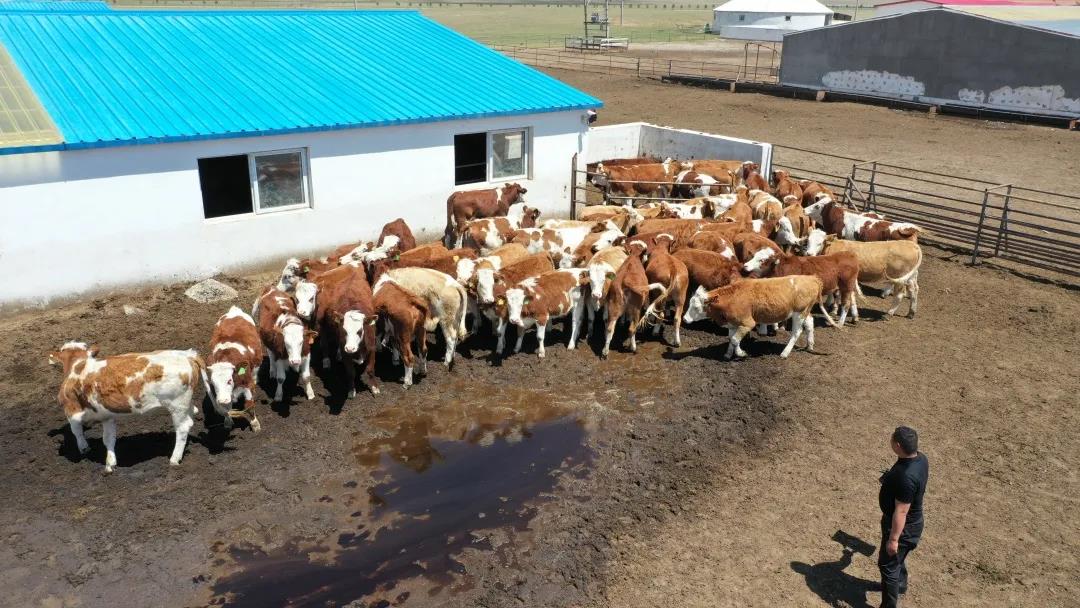 1621848862793893.jpg 1621848862793893.jpg