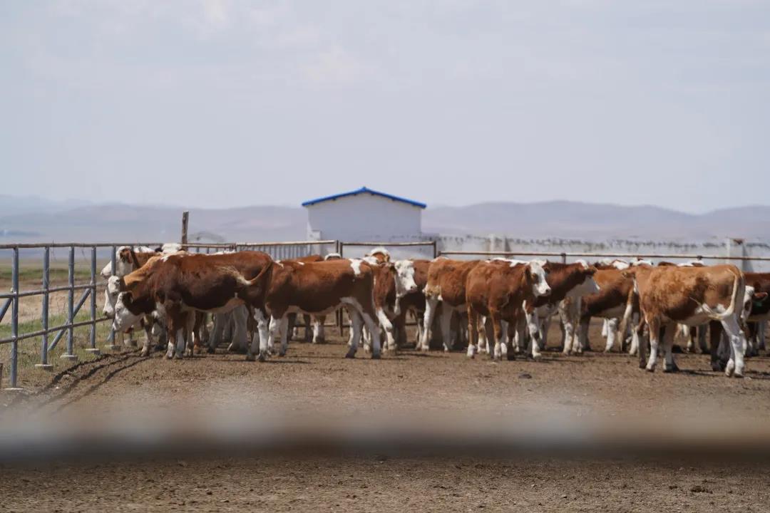 1621848891140705.jpg 1621848891140705.jpg