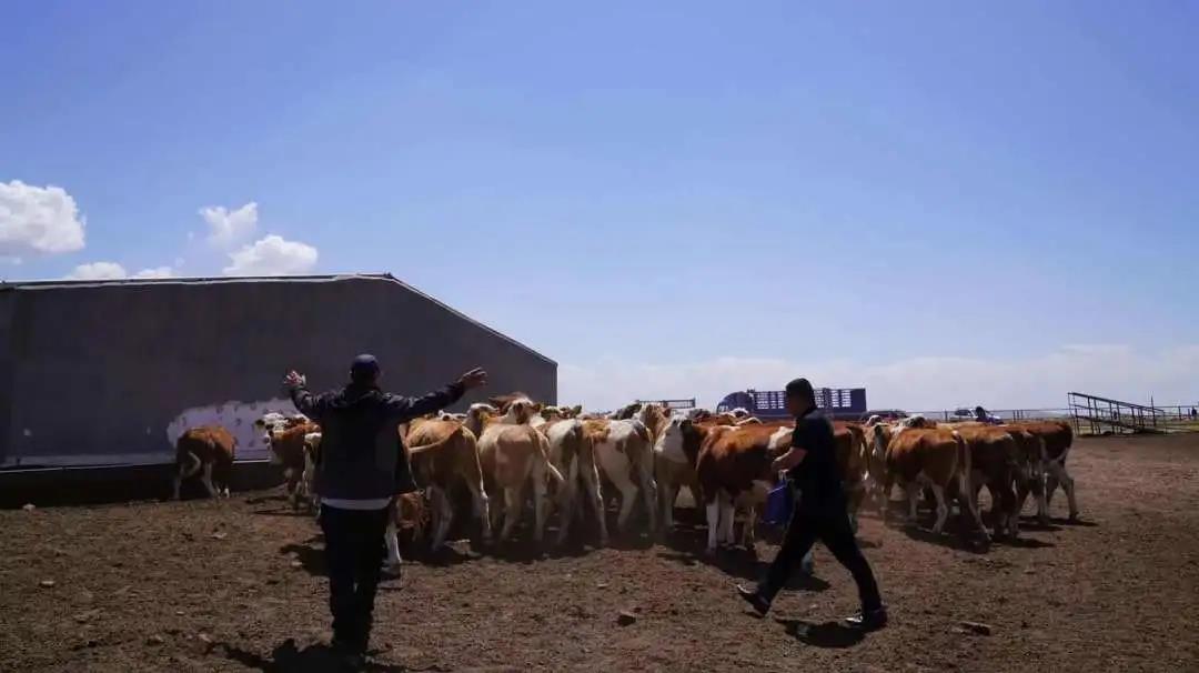 1621848921113956.jpg 1621848921113956.jpg