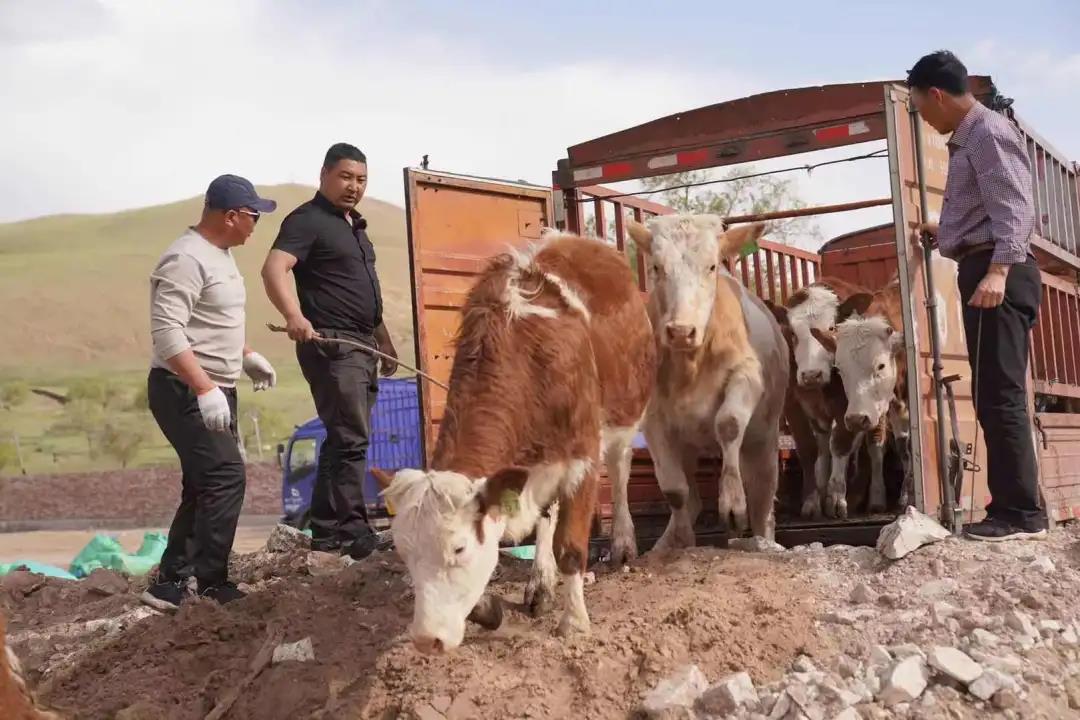 1621848947532346.jpg 1621848947532346.jpg