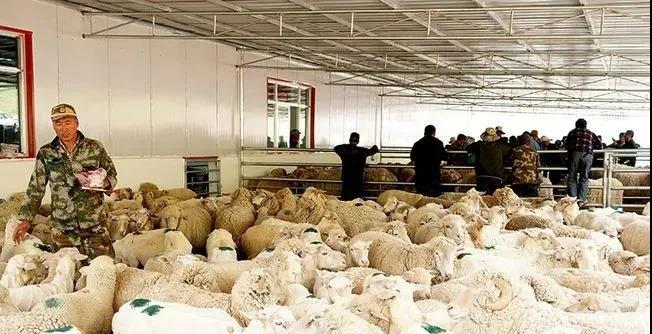 1621904068183659.jpg 微信图片_20210525085331.jpg