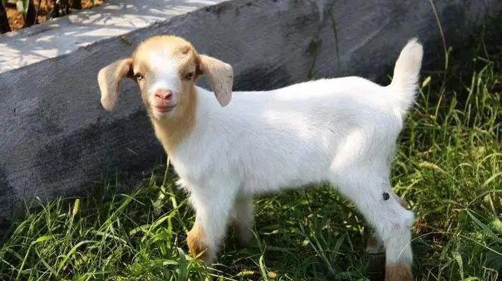 1621904348676287.jpg 1621904348676287.jpg