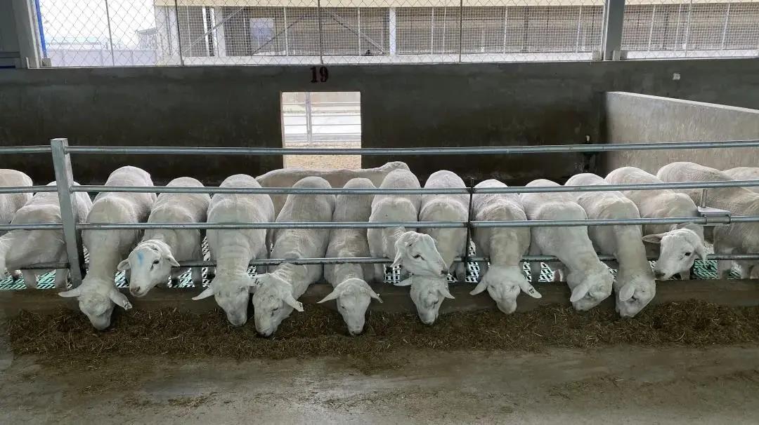 1621904371108267.jpg 1621904371108267.jpg