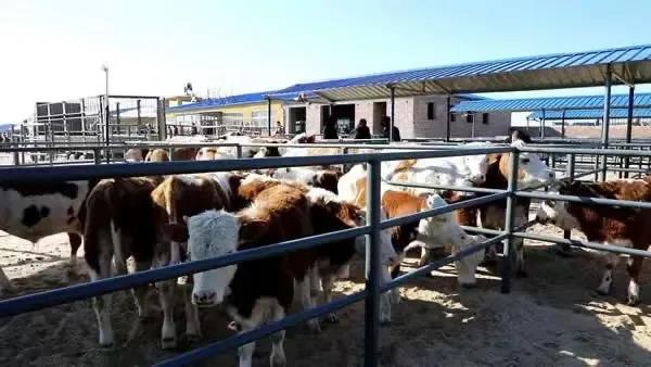 1621908204134444.jpg 微信图片_20210525095718.jpg