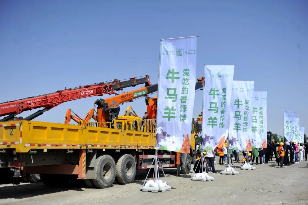 1622514935119408.jpg 1622514935119408.jpg