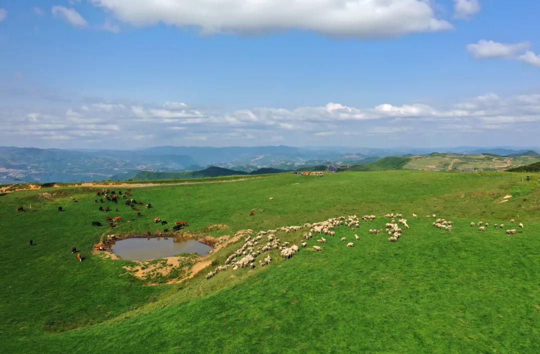 1622622916671123.jpg 1622622916671123.jpg